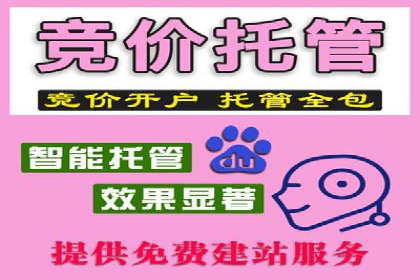 成功案例：SEM百度竞价助力企业增长